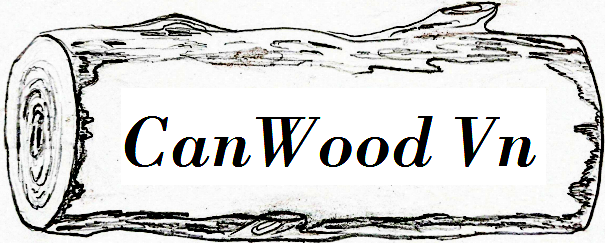 canwoodvn.com